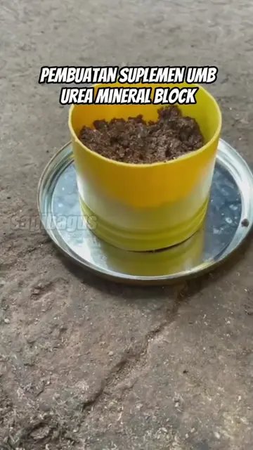 Pembuatan-Suplemen-Pakan-Ternak-UMB-Urea-Mineral-Block